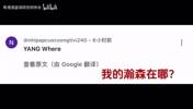 一场不看，浑身难受！开拓者夏联G5惨败，外国网友集体呼唤杨瀚森