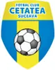 苏西瓦