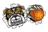 斗牛犬